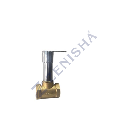 Flush Valve With Flange